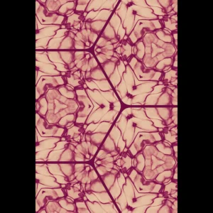 US Giclée Print Poster SANGUINE ROOT. Fine Art Wall Art with Archival Quality. Printed, packaged, and shipped in the US. Exclusive ColorVanta design.