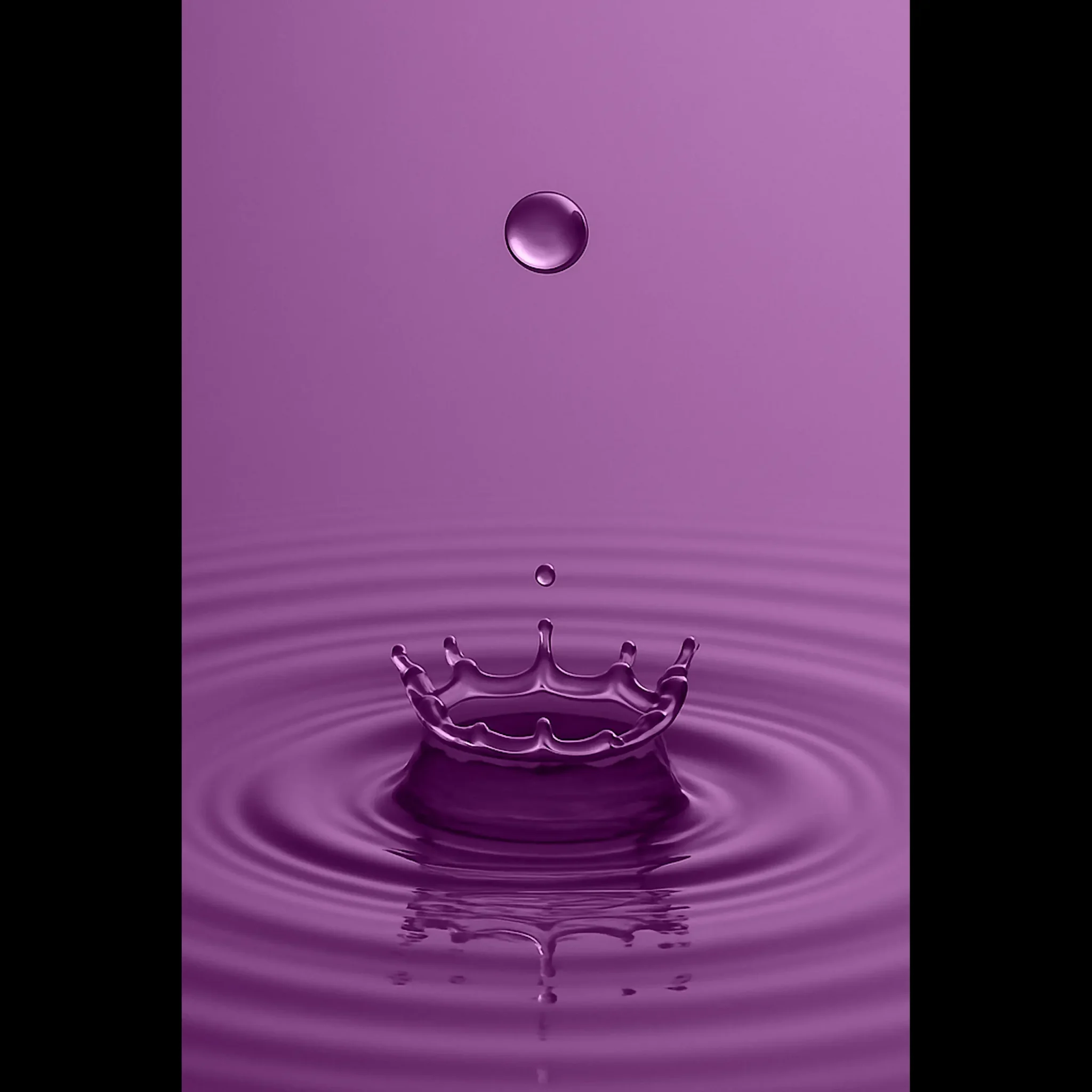 US Giclée Print Poster DROP OF PLUM. Fine Art Wall Art with Archival Quality. Printed, packaged, and shipped in the US. Exclusive ColorVanta design.