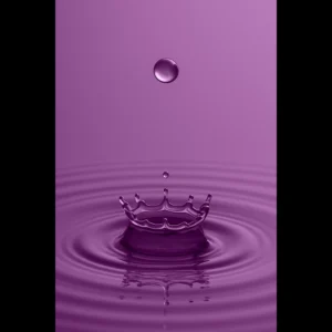 US Giclée Print Poster DROP OF PLUM. Fine Art Wall Art with Archival Quality. Printed, packaged, and shipped in the US. Exclusive ColorVanta design.