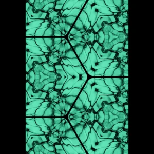 US Giclée Print Poster LIQUID FRAME. Fine Art Wall Art with Archival Quality. Printed, packaged, and shipped in the US. Exclusive ColorVanta design.