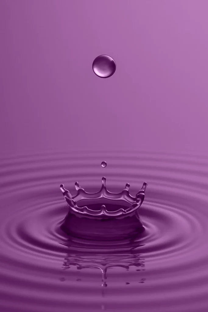 DROP OF PLUM Giclée Print Poster